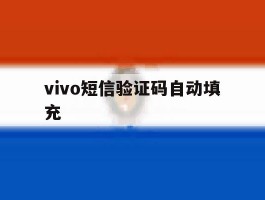 vivo短信验证码自动填充