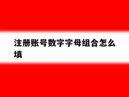 注册账号数字字母组合怎么填