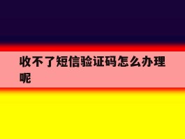 收不了短信验证码怎么办理呢
