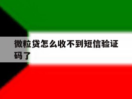 微粒贷怎么收不到短信验证码了
