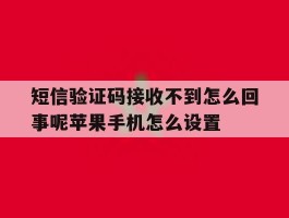 短信验证码接收不到怎么回事呢苹果手机怎么设置的简单介绍