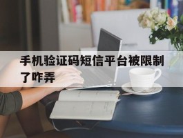 手机验证码短信平台被限制了咋弄