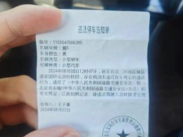 临时号牌违章怎么处理