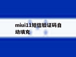 miui11短信验证码自动填充