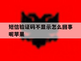 短信验证码不显示怎么回事呢苹果
