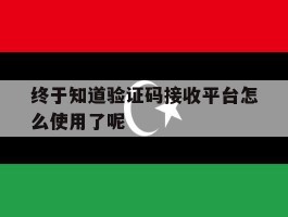 关于终于知道验证码接收平台怎么使用了呢的信息