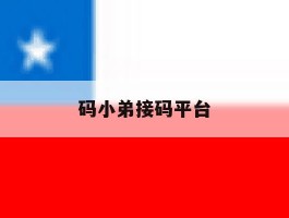 码小弟接码平台