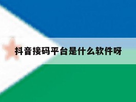 抖音接码平台是什么软件呀的简单介绍