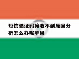 短信验证码接收不到原因分析怎么办呢苹果
