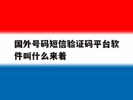 关于国外号码短信验证码平台软件叫什么来着的信息