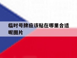 临时号牌应该贴在哪里合适呢图片