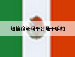 短信验证码平台是干嘛的