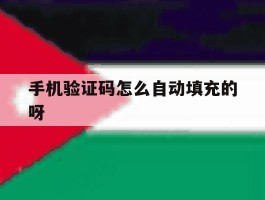 手机验证码怎么自动填充的呀