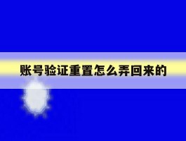 账号验证重置怎么弄回来的