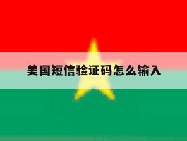 美国短信验证码怎么输入