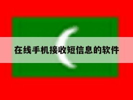 在线手机接收短信息的软件