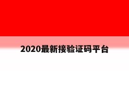 2020最新接验证码平台
