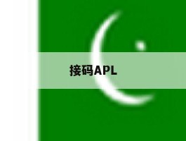 接码APL