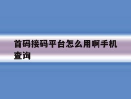 首码接码平台怎么用啊手机查询
