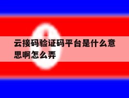 云接码验证码平台是什么意思啊怎么弄