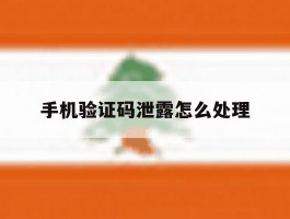 手机验证码泄露怎么处理