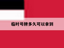 临时号牌多久可以拿到