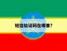 短信验证码在哪里?