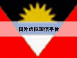国外虚拟短信平台