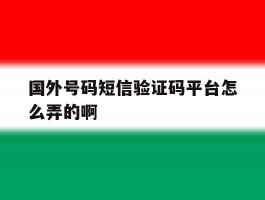 国外号码短信验证码平台怎么弄的啊