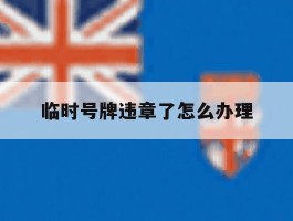临时号牌违章了怎么办理
