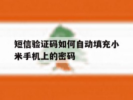 短信验证码如何自动填充小米手机上的密码