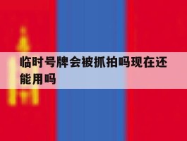 包含临时号牌会被抓拍吗现在还能用吗的词条