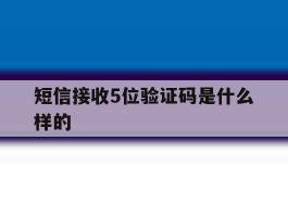 短信接收5位验证码是什么样的