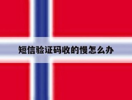 短信验证码收的慢怎么办