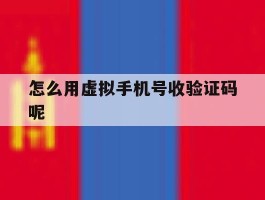 怎么用虚拟手机号收验证码呢