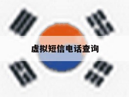 虚拟短信电话查询