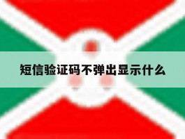 短信验证码不弹出显示什么