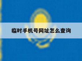 临时手机号网址怎么查询