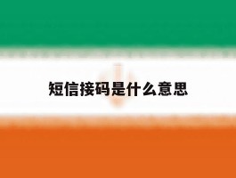 短信接码是什么意思