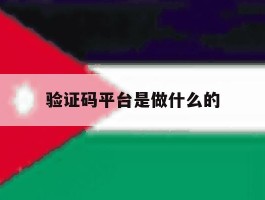 验证码平台是做什么的