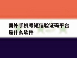 国外手机号短信验证码平台是什么软件