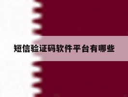 包含短信验证码软件平台有哪些的词条