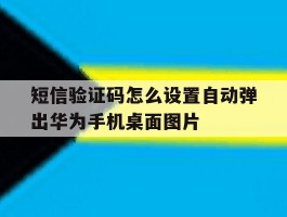 关于短信验证码怎么设置自动弹出华为手机桌面图片的信息
