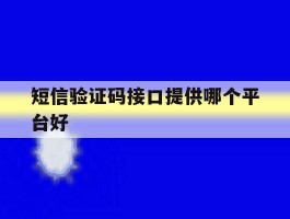 短信验证码接口提供哪个平台好