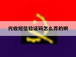 代收短信验证码怎么弄的啊