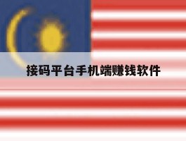 接码平台手机端赚钱软件
