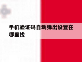 手机验证码自动弹出设置在哪里找
