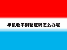手机收不到验证码怎么办呢