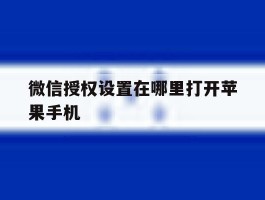 包含微信授权设置在哪里打开苹果手机的词条