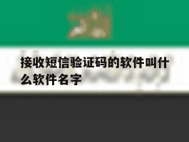接收短信验证码的软件叫什么软件名字
